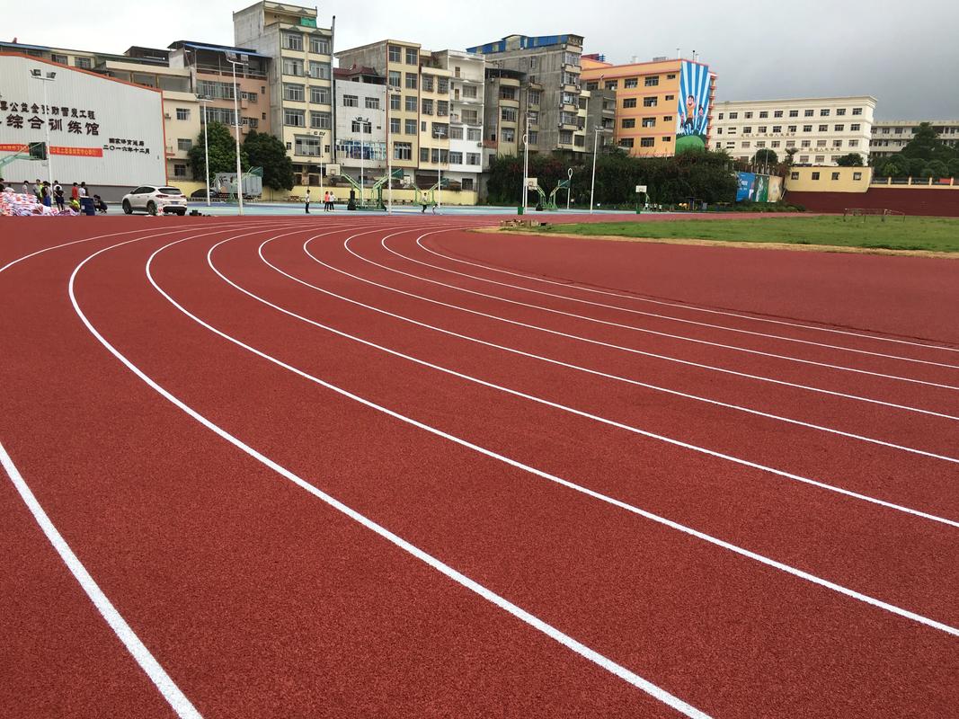 甘南藏族自治州篮球场塑胶跑道材料 - 价格